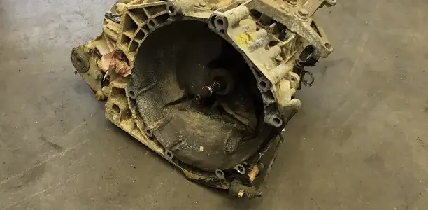 Boxer