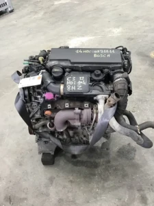 C3