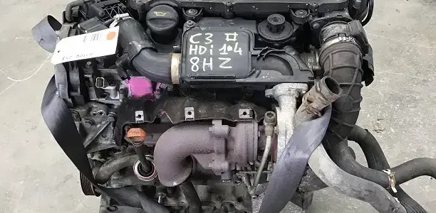 C3