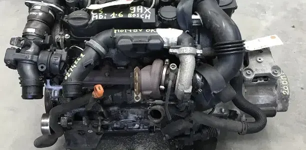 C3