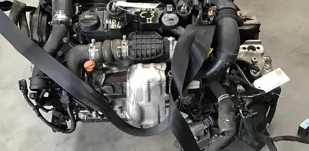C3