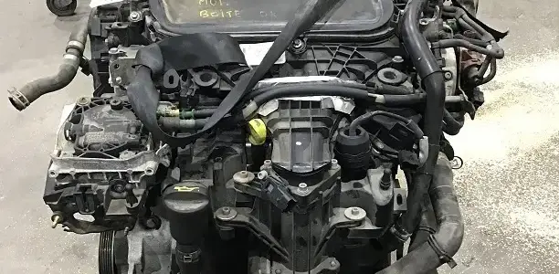 C-max