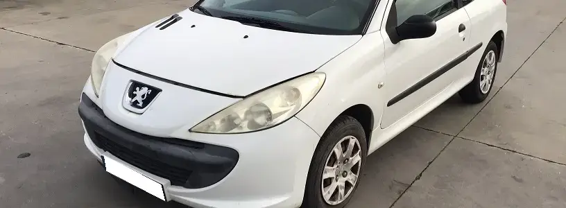 206+