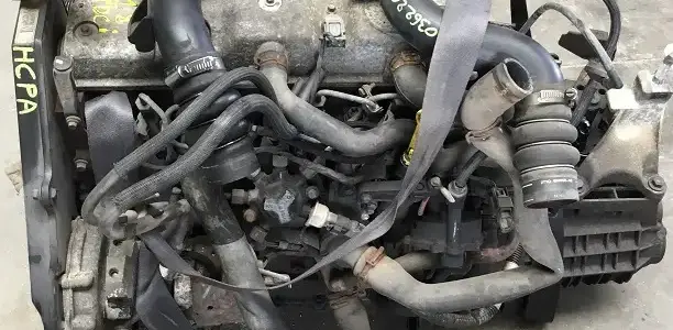 Connect