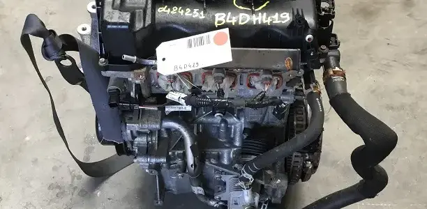 Sandero