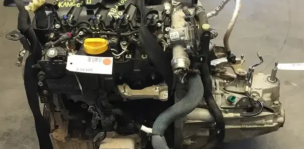 Kangoo