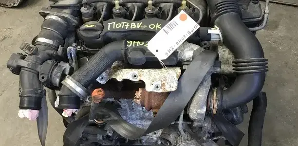 C4