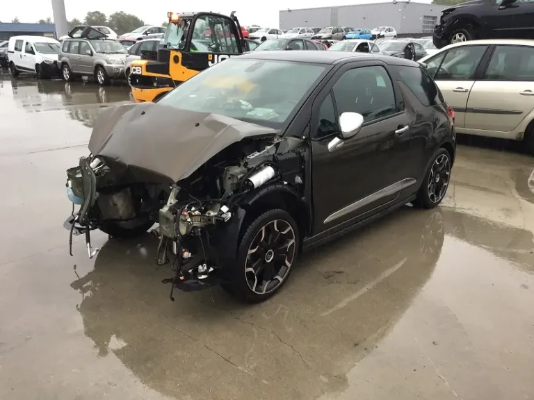 DS3