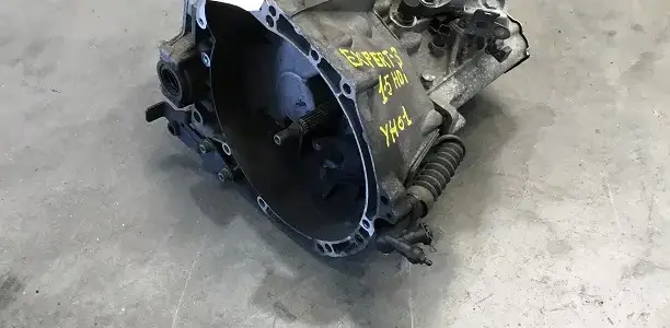 EXPERT