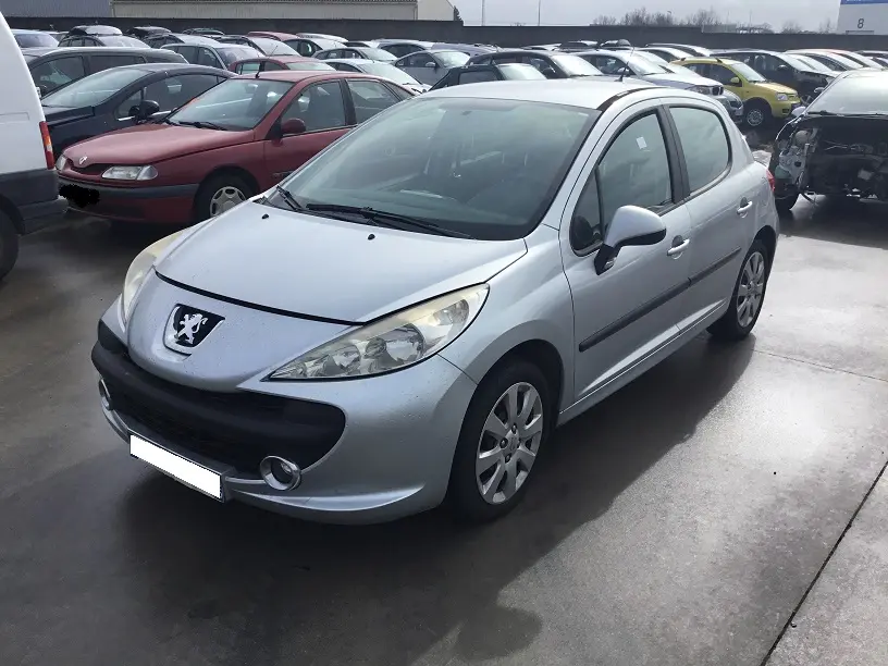 Peugeot 207 1,6 HDI 110 à la pièce (0196241)