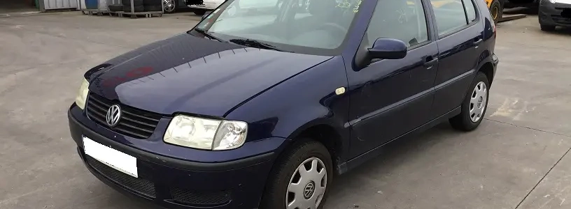 Polo