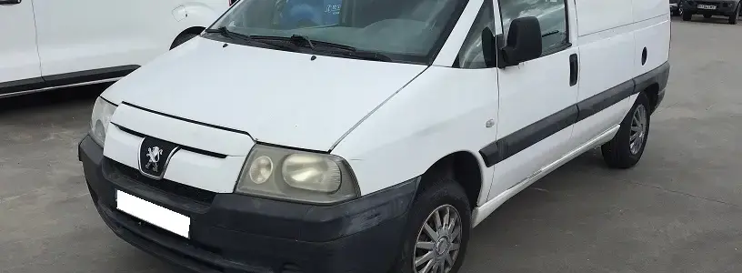 Expert