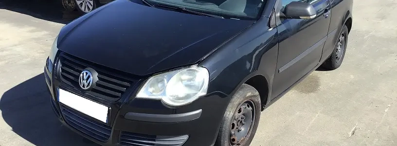 Polo