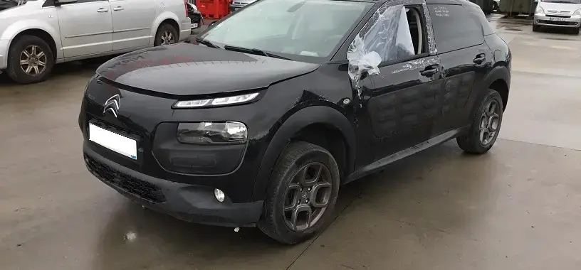 C4 Cactus