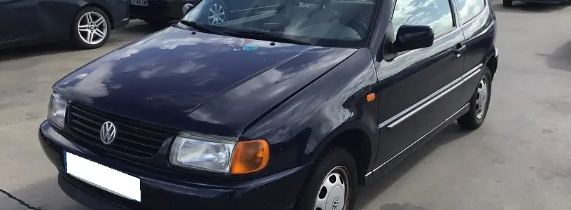 Polo