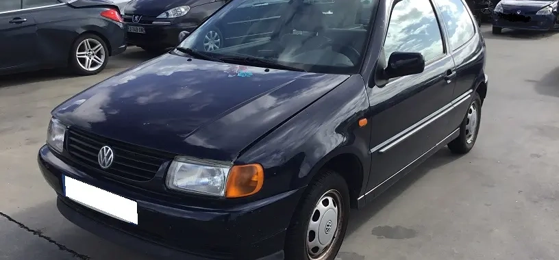 Polo