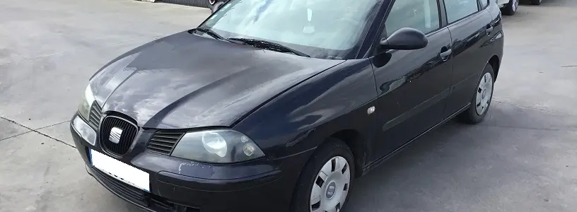 Ibiza