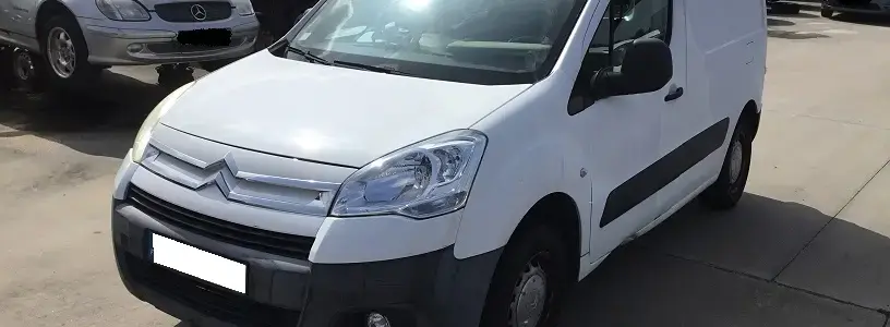 Berlingo
