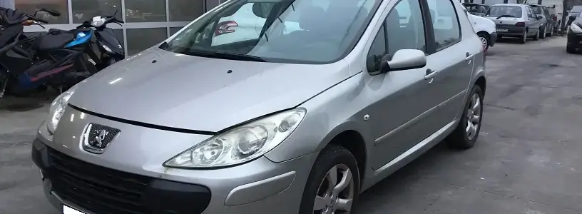 307 II