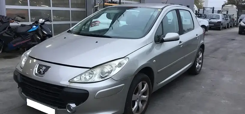 307 II