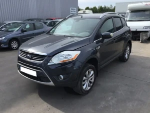 Kuga