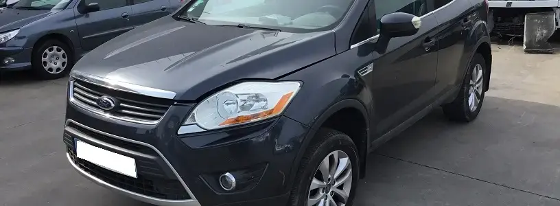 Kuga