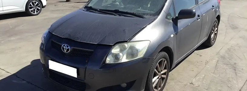 Auris