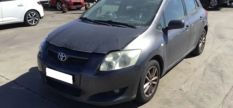 Auris
