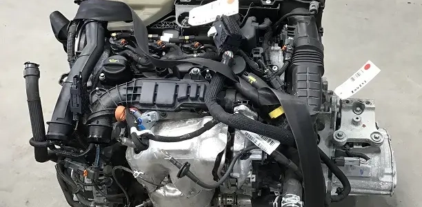 C3